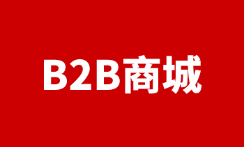 b2b商城网站开发